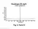 Fig. 08 - Antibodies for the treatment of synucleinopathy