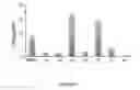 Fig. 07 - PD-1 immune modulating agents