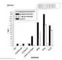 Fig. 15 - Anti-ROR2 antibodies