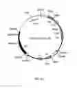 Fig. 09 - DAC HYP COMPOSITIONS AND METHODS
