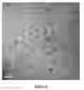 Fig. 05 - Method Of Forming A Gel Having Improved Thermal Stability