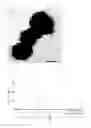 Fig. 03 - CERIUM OXIDE-COATED ZINC OXIDE PARTICLE, METHOD FOR PRODUCING THE SAME, ULTRAVIOLET SHIELDING AGENT, AND COSMETIC
