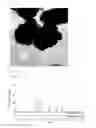 Fig. 06 - CERIUM OXIDE-COATED ZINC OXIDE PARTICLE, METHOD FOR PRODUCING THE SAME, ULTRAVIOLET SHIELDING AGENT, AND COSMETIC