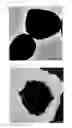 Fig. 09 - CERIUM OXIDE-COATED ZINC OXIDE PARTICLE, METHOD FOR PRODUCING THE SAME, ULTRAVIOLET SHIELDING AGENT, AND COSMETIC