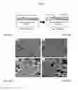 Fig. 06 - High emissivity materials and methods of manufacture