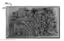 Fig. 01 - Date tree spikelet-based additive for mechanical reinforcement of weak and unstable lost circulation material (LCM) seals/plugs