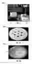 Fig. 03 - Date tree spikelet-based additive for mechanical reinforcement of weak and unstable lost circulation material (LCM) seals/plugs