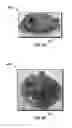 Fig. 05 - Date tree spikelet-based additive for mechanical reinforcement of weak and unstable lost circulation material (LCM) seals/plugs