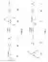 Fig. 07 - Reversible aminal gel compositions, methods, and use