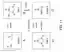 Fig. 11 - Reversible aminal gel compositions, methods, and use