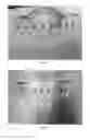 Fig. 02 - PROPPANT SAND COATING FOR DUST REDUCTION