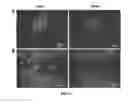 Fig. 06 - Cell Culture Substrate for Rapid Release and Re-Plating