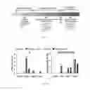 Fig. 02 - Method of Producing Stem Cell-Derived Endothelial Cells and Uses Thereof