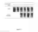 Fig. 04 - COMPOSITION FOR TREATING TENDONITIS AND MANUFACTURE THEREOF