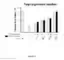 Fig. 09 - COMPOSITION FOR TREATING TENDONITIS AND MANUFACTURE THEREOF