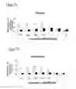 Fig. 08 - TREATMENT OF PLURIPOTENT CELLS
