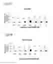 Fig. 09 - TREATMENT OF PLURIPOTENT CELLS