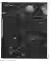 Fig. 08 - Protein-induced pluripotent cell technology and uses thereof