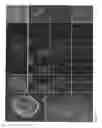 Fig. 09 - Protein-induced pluripotent cell technology and uses thereof
