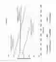 Fig. 08 - MODIFIED FATTY ACID BIOSYNTHESIS WITH ACP-DEPENDENT THIOLASES