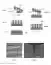 Fig. 02 - Dose and location controlled drug/gene/particle delivery to individual cells by nanoelectroporation