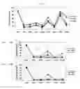 Fig. 02 - SIRNA STRUCTURE FOR MINIMIZING OFF-TARGET EFFECTS AND RELAXING SATURATION OF RNAI MACHINERY AND THE USE THEREOF