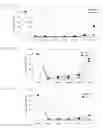 Fig. 04 - SIRNA STRUCTURE FOR MINIMIZING OFF-TARGET EFFECTS AND RELAXING SATURATION OF RNAI MACHINERY AND THE USE THEREOF