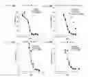 Fig. 08 - SIRNA STRUCTURE FOR MINIMIZING OFF-TARGET EFFECTS AND RELAXING SATURATION OF RNAI MACHINERY AND THE USE THEREOF