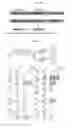Fig. 06 - DYNAMIC GENOME ENGINEERING