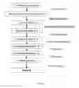 Fig. 02 - Expression constructs and methods of genetically engineering methylotrophic yeast