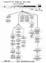 Fig. 49 - TRANSGENIC PLANTS AND A TRANSIENT TRANSFORMATION SYSTEM FOR GENOME-WIDE TRANSCRIPTION FACTOR TARGET DISCOVERY