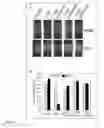 Fig. 08 - XA1-MEDIATED RESISTANCE TO TALE-CONTAINING BACTERIA