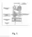 Fig. 02 - Vectors and methods for long-term immune evasion to prolong transplant viability