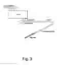 Fig. 04 - Vectors and methods for long-term immune evasion to prolong transplant viability
