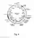 Fig. 05 - Vectors and methods for long-term immune evasion to prolong transplant viability