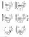 Fig. 13 - Vectors and methods for long-term immune evasion to prolong transplant viability