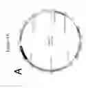 Fig. 06 - Synthetic yeast cells and methods of making and using the same