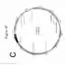 Fig. 08 - Synthetic yeast cells and methods of making and using the same