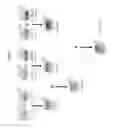 Fig. 14 - Synthetic yeast cells and methods of making and using the same