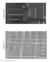 Fig. 15 - Synthetic yeast cells and methods of making and using the same