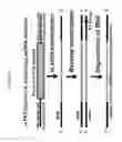 Fig. 11 - Treatment methods using DNA editing with single-stranded DNA