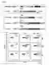 Fig. 03 - COMPOSITIONS AND METHODS FOR IDENTIFYING ZIKA ENZYME INHIBITORS