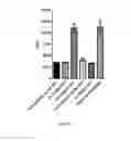 Fig. 06 - ULTRA SENSITIVE PROBES FOR DETECTION OF NUCLEIC ACID