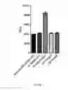 Fig. 07 - ULTRA SENSITIVE PROBES FOR DETECTION OF NUCLEIC ACID
