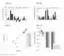 Fig. 09 - MEASUREMENT AND COMPARISON OF IMMUNE DIVERSITY BY HIGH-THROUGHPUT SEQUENCING