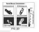 Fig. 06 - Cancer screening by detection of ultrastructural and molecular markers