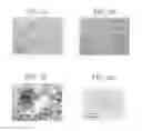 Fig. 04 - CdTe-based compound single crystal and method for producing the same