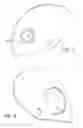 Fig. 07 - FLUSH PLATE