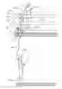 Fig. 01 - Safety fence support and anchoring system