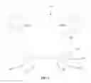 Fig. 07 - Light blocking element for a covering for an architectural opening
